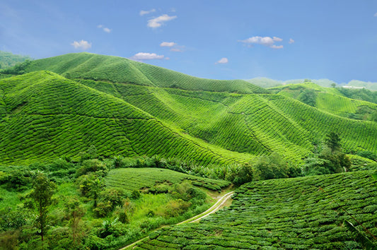 10 OF MALAYSIA’S BEST ECO-TOURISM DESTINATIONS