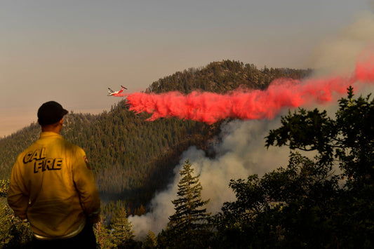 This summer's extreme weather is a sign of things to come