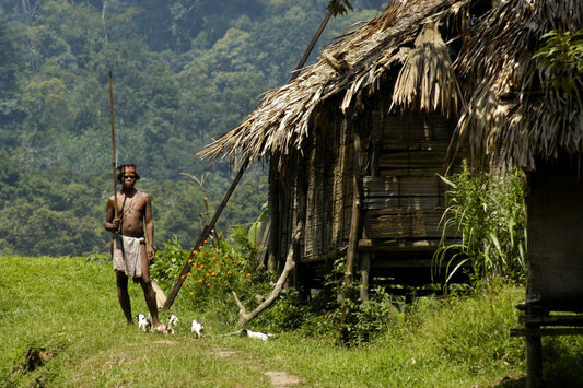 The Indigenous World 2023: Malaysia